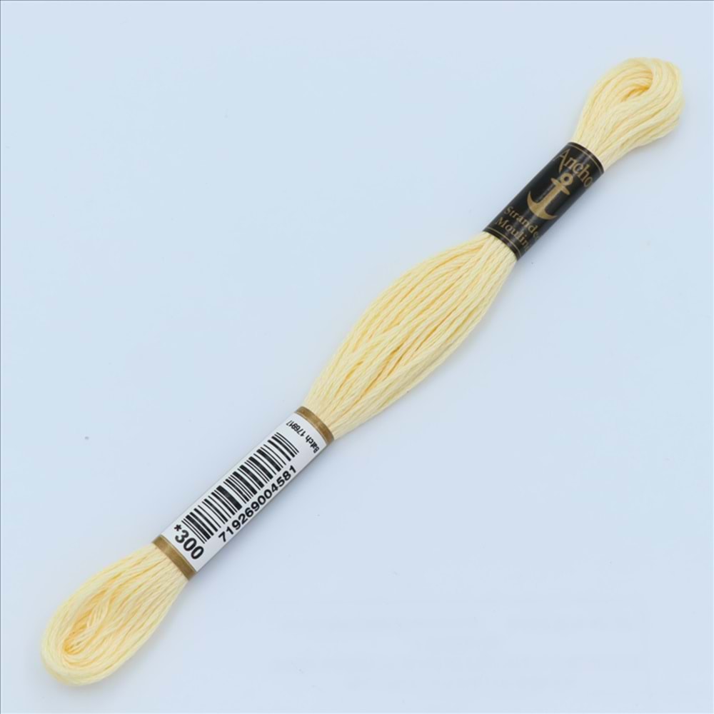 00300 Anchor Muline Nakış İpliği