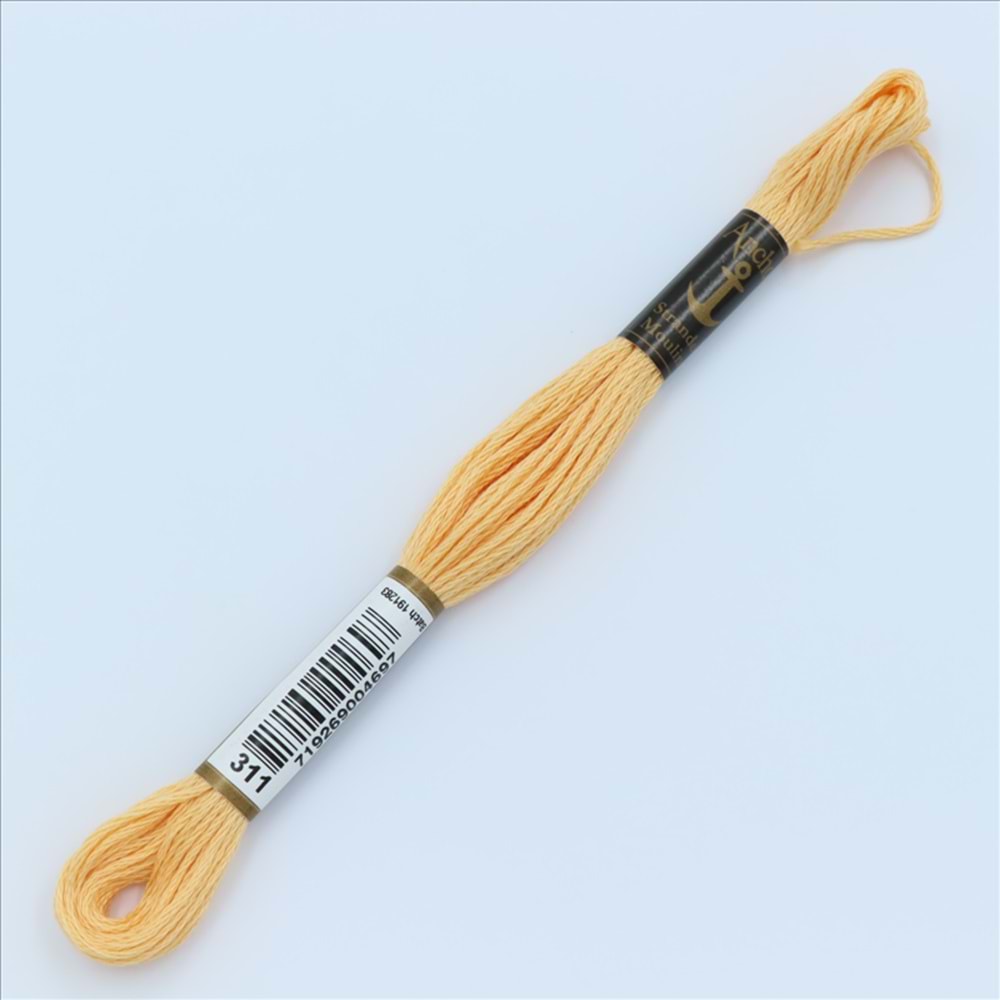 00311 Anchor Muline Nakış İpliği