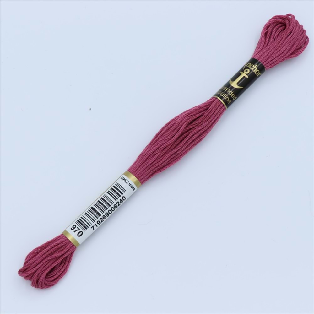00970 Anchor Muline Nakış İpliği