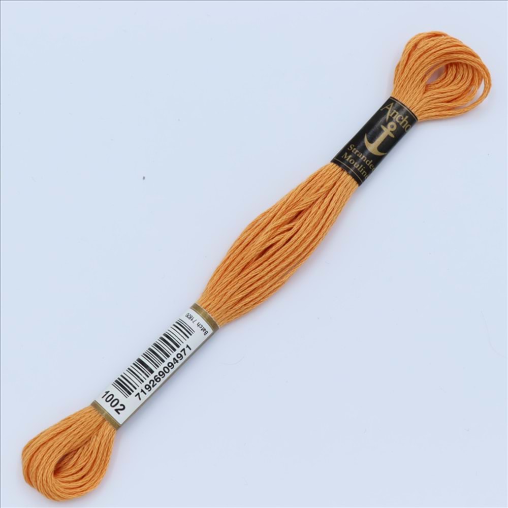 01002 Anchor Muline Nakış İpliği