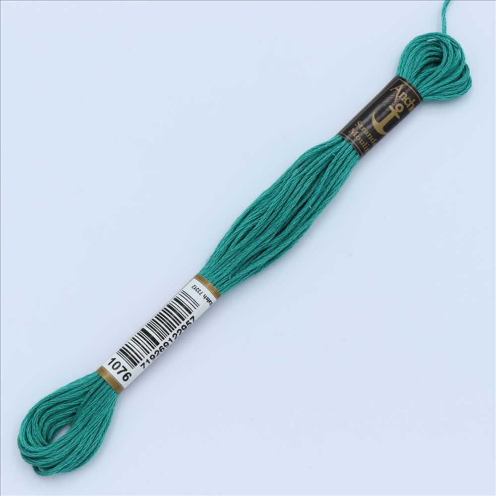 01076 Anchor Muline Nakış İpliği