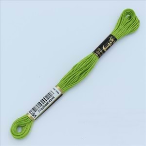 00255 Anchor Muline Nakış İpliği