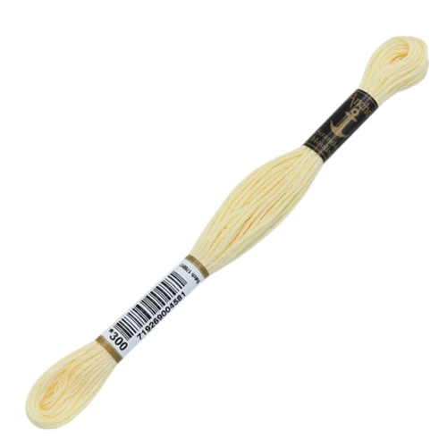 00300 Anchor Muline Nakış İpliği