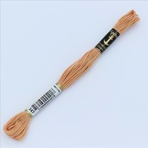 00347 Anchor Muline Nakış İpliği