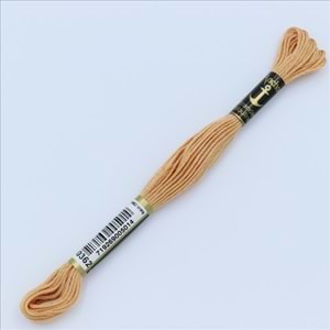 00362 Anchor Muline Nakış İpliği