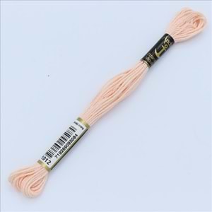 01012 Anchor Muline Nakış İpliği