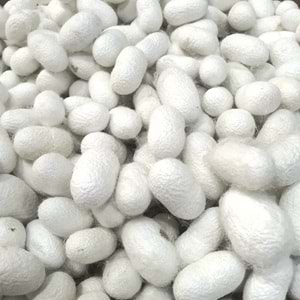Kuru İpek Kozası Paket 0200